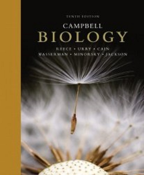 Product picture Campbell Biology (10th Edition), Jackson, Robert B., Minorsk